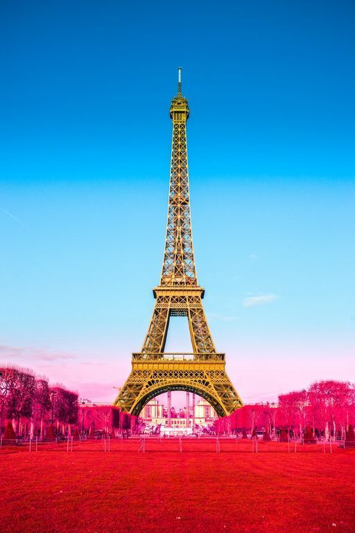 Decimale Spreekwoord Kampioenschap Eiffeltoren in de kleuren van Frankrijk fotobehang op maat, makkelijk  besteld en snel in huis! - Repro.nl